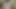 Silver daddy masturbating again