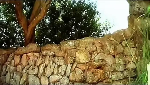 In search of the lost orgasm - DVD