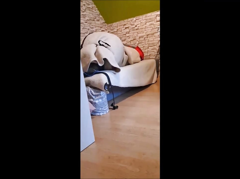 Rozkoszne orgazmy w futrach