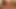 Kate Kastle and Taylor Vixen Lesbian Scissoring
