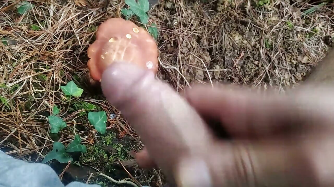 Hiker Takes Out His Dick Looking for Mushroomsand Unloads Semen in One of Them