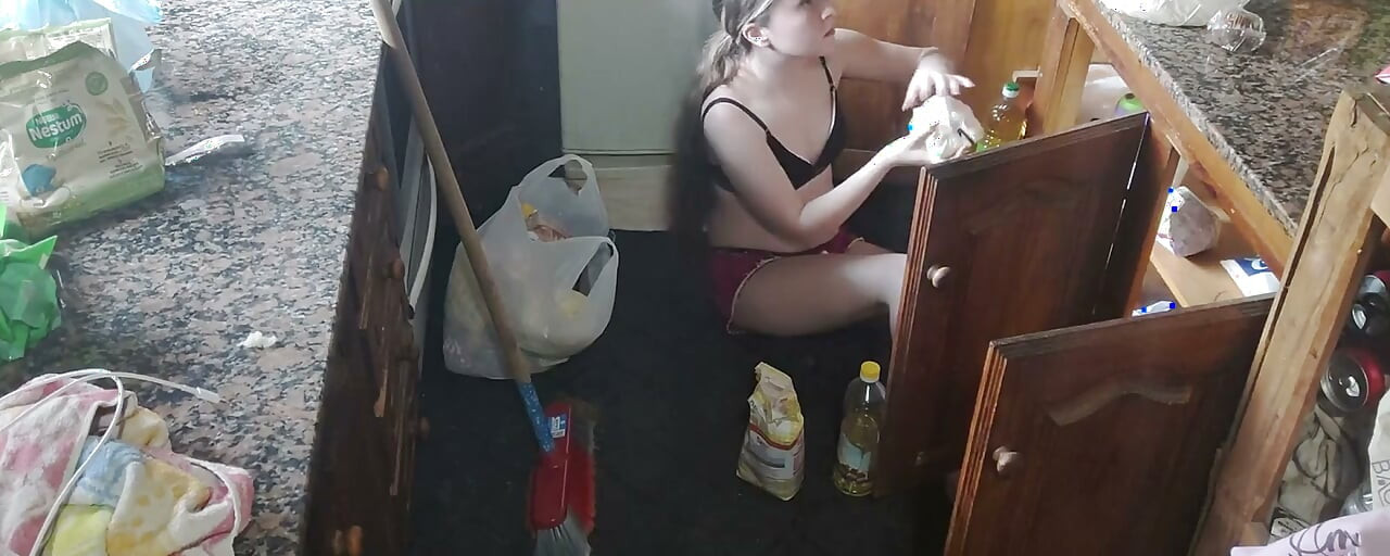Den čištění