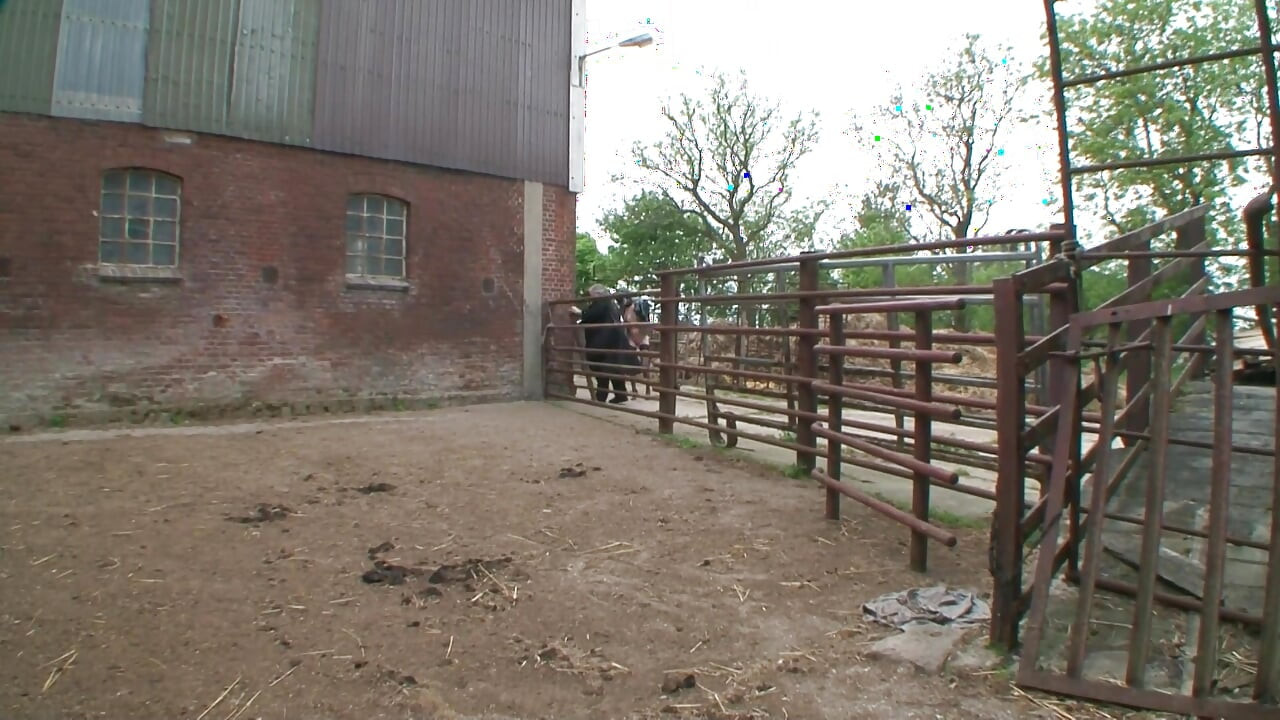 Hardcore BDSM at the farm