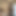 黒レズビアンにアクション、猫舐めてるおっぱい接吻