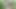 Jungle Mein Bhaiya Ne Bhabhi Ko Lund Chuswa Ke Chut Ko Chudai Kiya.Desi Housewife Ki Khet Me Husband Ne Boobs Chus Ke Pella.Hindi Porn Videos