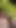 Crazy Horny Boy Big Cock Showvid