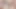 SWALLOWED Lily Labeau and Haley Reed double sloppy blowjob
