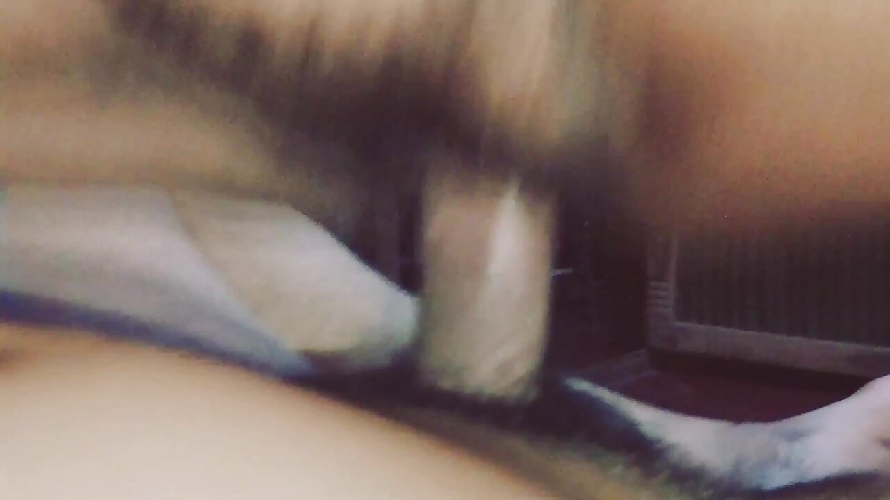 Acaricié con mi mano.