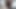 #hamster Ich habe dir ein Geheimnis von mir gezeigt, bitte sieh es nicht 07