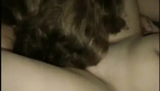 Тройничок в домашнем любительском видео