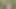 Kız arkadaş açık Hintçe ses ile açık çekim fotoğraf çekimi sonrası sert seks istiyor