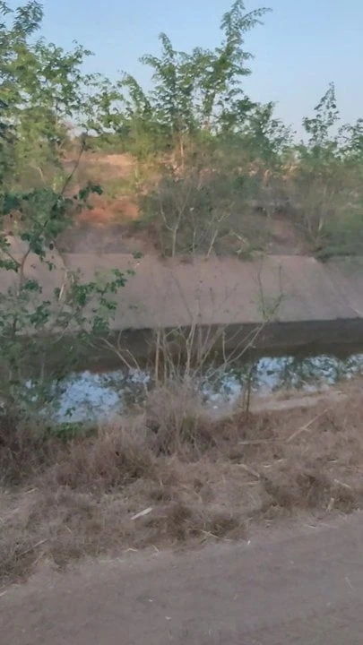 Masturbação na estrada de manhã