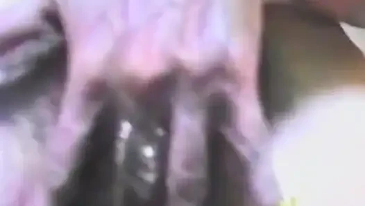 Стрип-шоу становится шаловливым в любительском видео