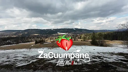 A red fox in the mountains. On the trail, the redhead female dog got some hot stuff straight from a thick cock.