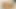 SOUTHERNSTROKES Twink Greg Noll Raw Breeds Gay Andy Scott