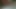 仮面の蝶が足の指を塗っています