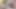 daha kedi yanıp sönen dışında