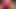 Amateur Latino masturbates in low light - jovenpoder