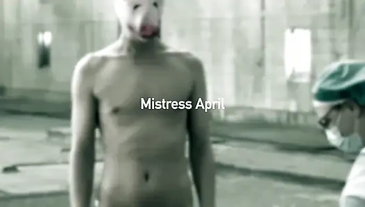 Dominatrix sahibe April - domuzcuk abattoir'de