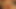 oeuf vibro 10mm uretal insertion annie cock masturb cum