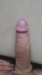 Magnum Cock