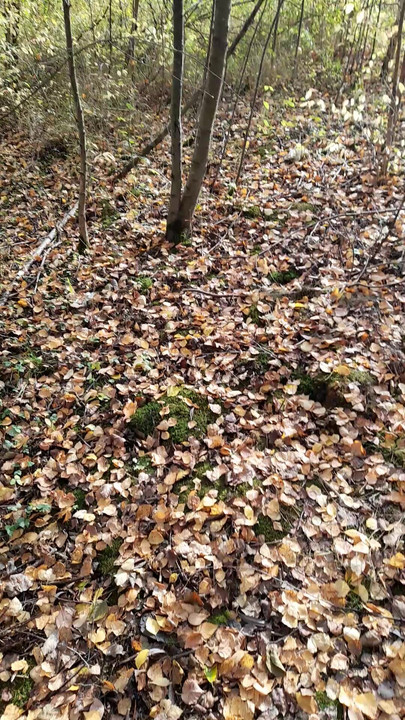 ชักว่าวควยเอาท์ดอร์