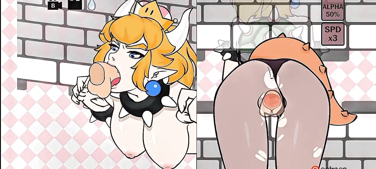 Ajude Bowser