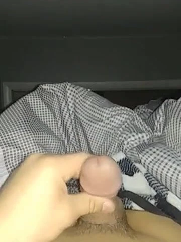 Lemons cock