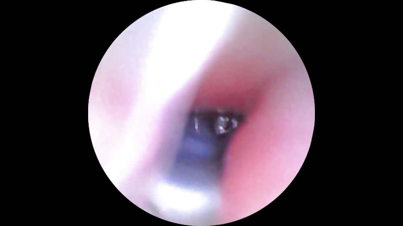 カメラを置いて!ジャンナの探検