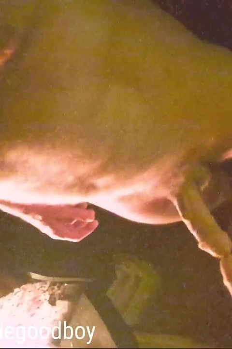 Play with Stepdaddy by the Fire Lemme See Your Hard Boy Cock