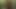 Fucked In The Woods