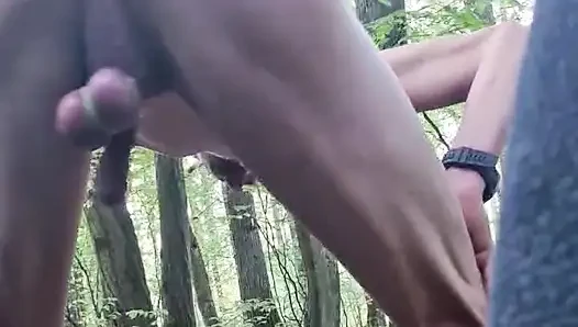 Ormanda penis dansı