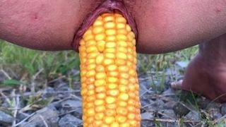 Corn in my asspussy