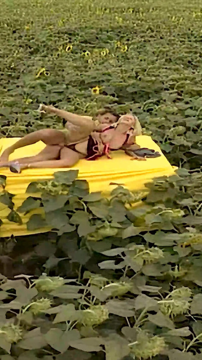 Erotic Palette 02: Yellow Anal Heat