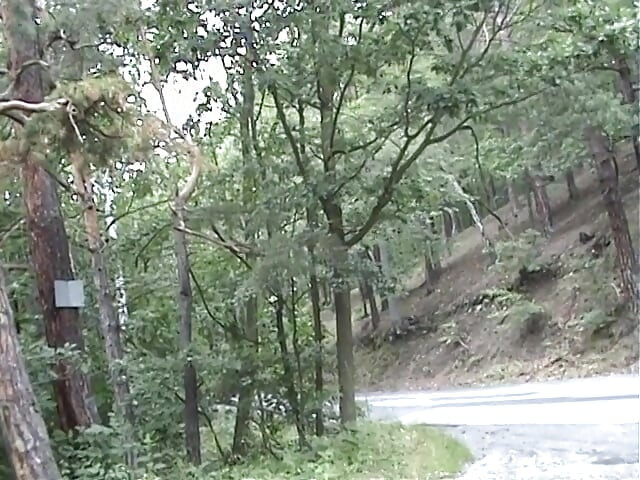 European teen picked up and fucked on the side of the road