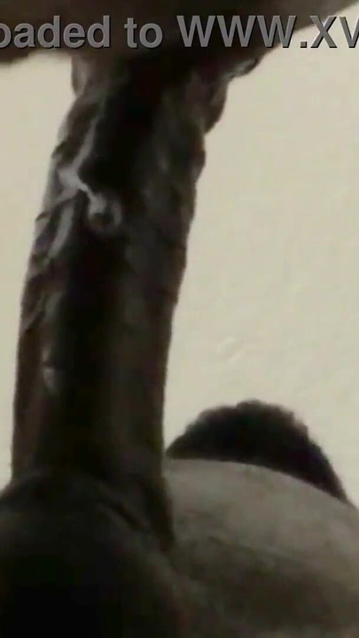 Morate podijeliti trenutak iz "Close up deepthroat"