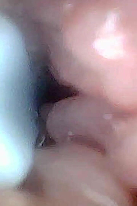 Guía Visual De Estimulación Del Punto G Y Perspectiva Del Endoscopio Del Orgasmo