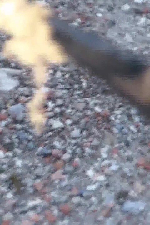 Digging Dirty Miry Gravel in My High Heeled Puckled Pumps