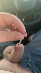 Molly insertion
