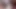 BBW BFF Dildo Sucking Preview