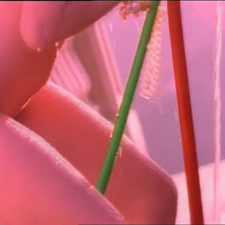 A Sexy Lesbian Dream