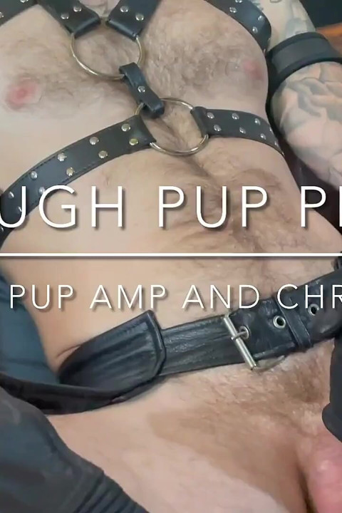 Rough Pup Play