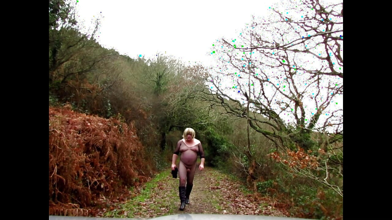 exhibition in nature