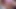 Camilo Brown was recording me jerking off and I got so horny I couldn't stop myself from sucking his big uncut cock befo