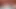 Cute Babe Blowjob Big Dick Stranger from Tinder