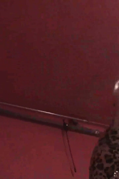She makes her pet clean his cage