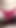 Spectacular moment from "New Nepali Sex Video With Full Clear Audio,After Long Time I Found A  Pornstar Nepali baby"