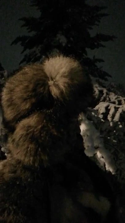 walking in my coyote fur