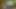 VIP4k. genç coquette nathaly teges araba sürmek istiyor ama