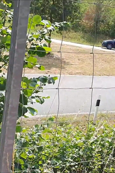 Fucked by the Highway